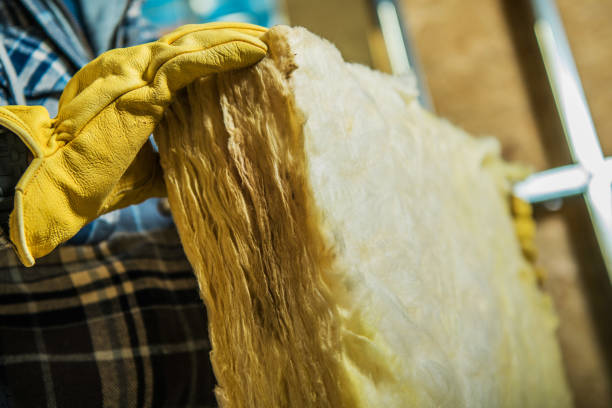 Best DIY Insulation Kits and Guidance in Ashtabula, OH
